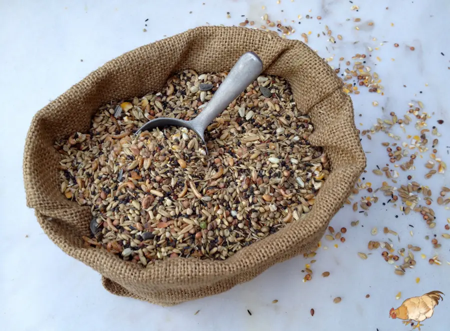 Livestock Feed